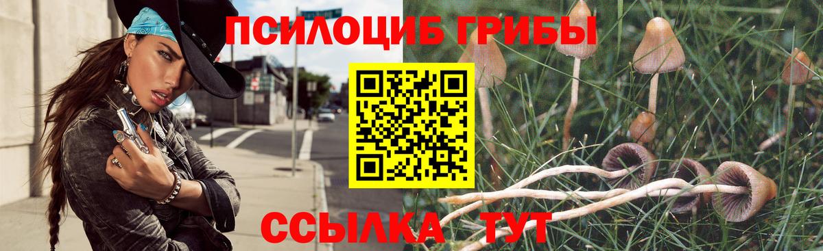 Галлюциногенные грибы MAGIC MUSHROOMS  как найти наркотики  Десногорск  Вход с VPN 